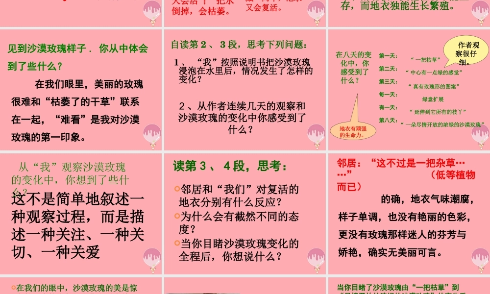 六年级语文上册 第23课 沙漠玫瑰课件5 西师大版-西师大版小学六年级上册语文课件