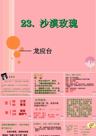 六年级语文上册 第23课 沙漠玫瑰课件5 西师大版-西师大版小学六年级上册语文课件