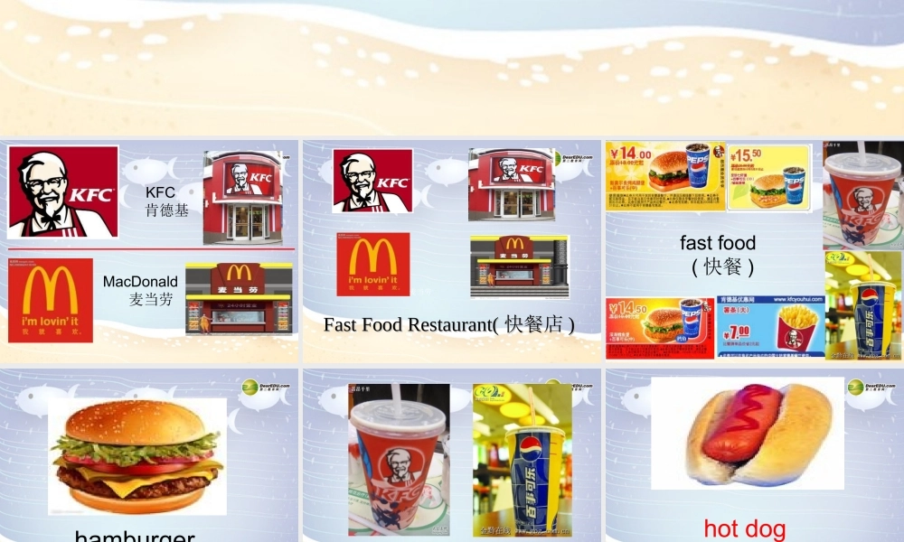 六年级英语下册 Module1 Unit 1 I want a hot dog, please课件（2） 外研版