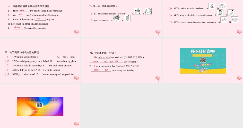 六年级英语下册 Unit 3 Where did you go Part B第四课时习题课件 人教PEP版-人教PEP小学六年级下册英语课件