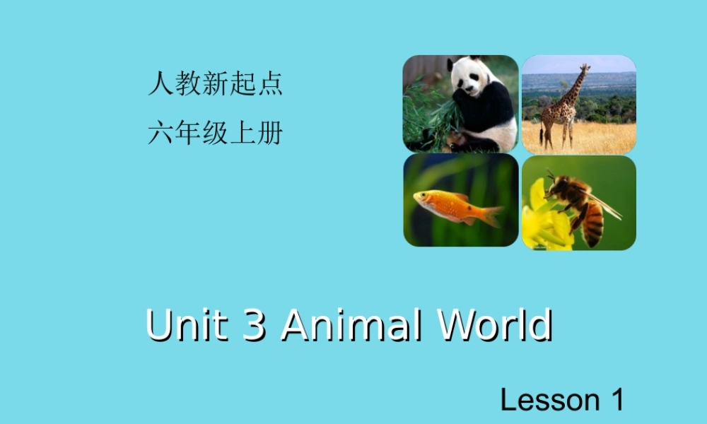 六年级英语上册 Unit 3 Animal World（Lesson 1）课件 人教新起点-人教新起点小学六年级上册英语课件
