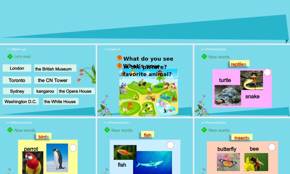 六年级英语上册 Unit 3 Animal World（Lesson 1）课件 人教新起点-人教新起点小学六年级上册英语课件