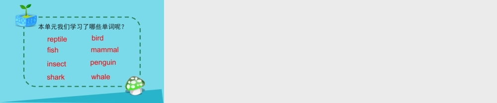 六年级英语上册 Unit 3 Animal World（Lesson 1）课件 人教新起点-人教新起点小学六年级上册英语课件
