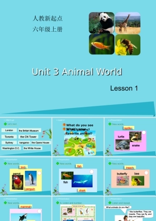六年级英语上册 Unit 3 Animal World（Lesson 1）课件 人教新起点-人教新起点小学六年级上册英语课件