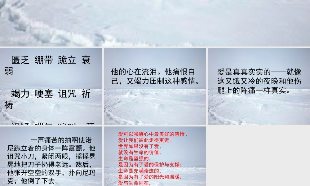 六年级语文上册 浮冰上课件1 鄂教版-鄂教版小学六年级上册语文课件