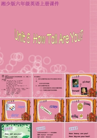 六年级英语上册 Unit 6（2）课件 湘少版