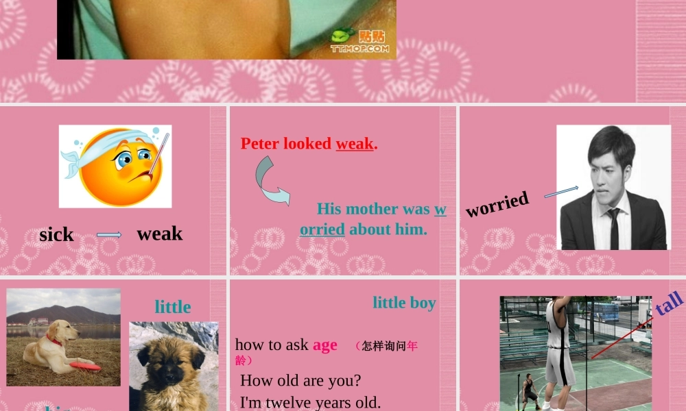 六年级英语上册 Unit 6（3）课件 湘少版