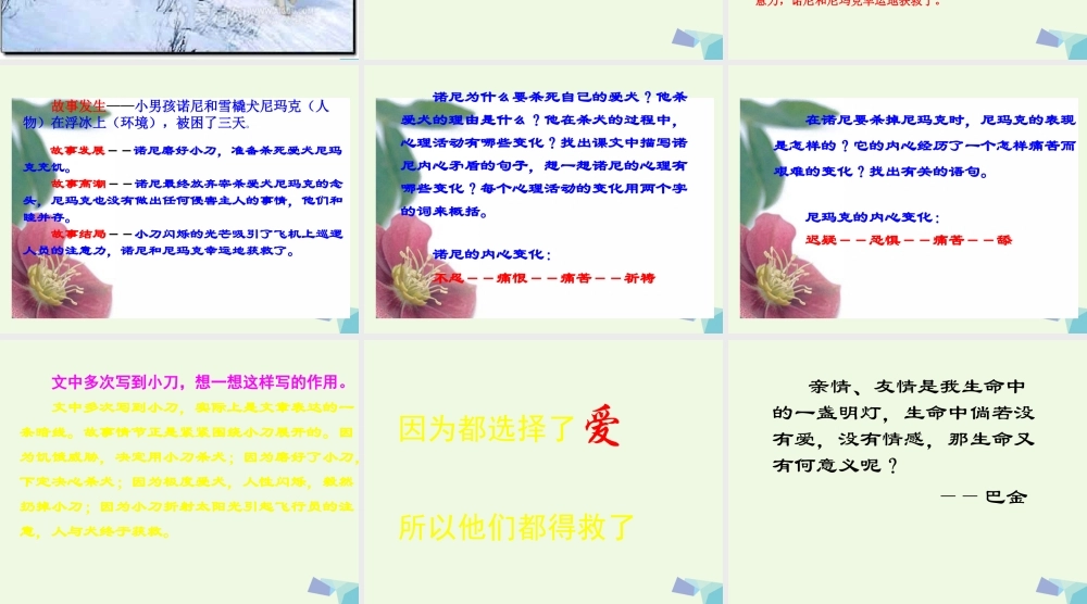 六年级语文上册 浮冰上课件3 鄂教版-鄂教版小学六年级上册语文课件