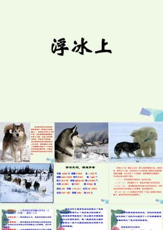 六年级语文上册 浮冰上课件3 鄂教版-鄂教版小学六年级上册语文课件