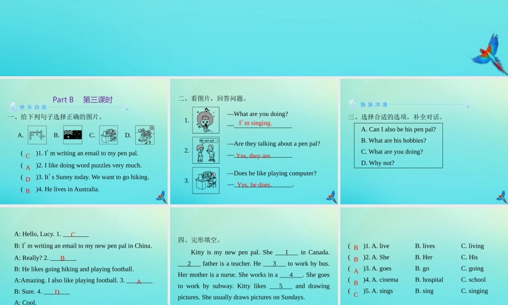 六年级英语上册 Unit 4 I have a pen pal Part B（第3课时）练习课件 人教PEP版-人教PEP小学六年级上册英语课件