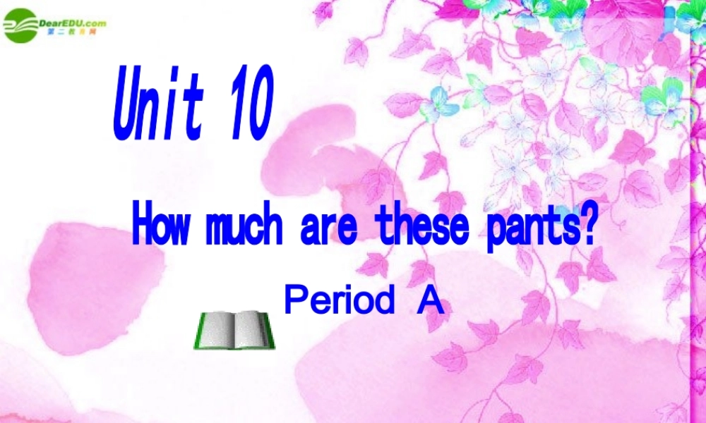 六年级英语上册 Unit 10 How much are these pants课件 鲁教版