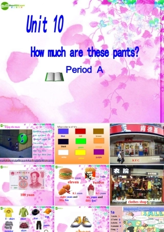 六年级英语上册 Unit 10 How much are these pants课件 鲁教版