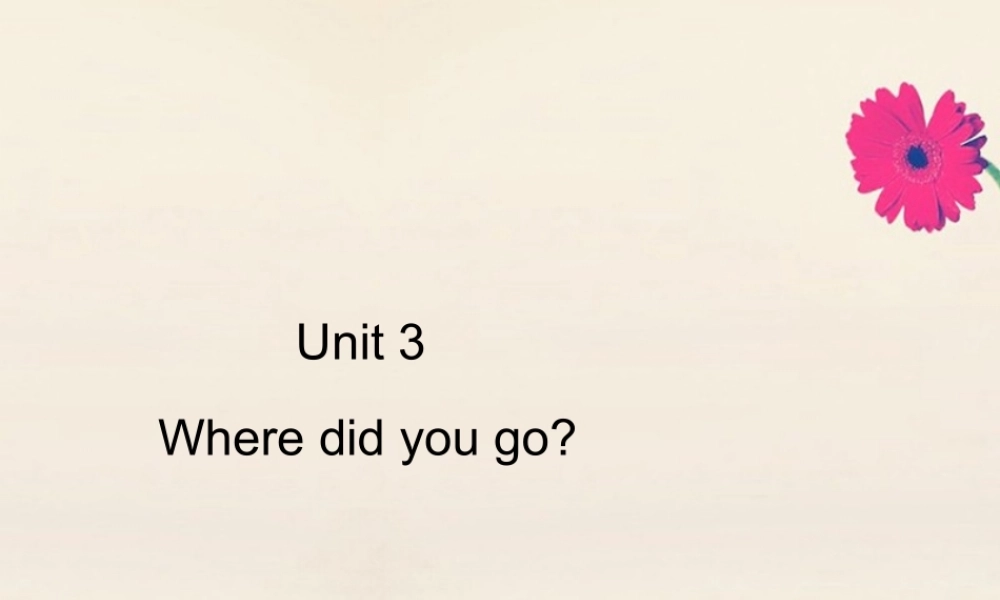 六年级英语下册 Unit 3 Where did you go达标作业习题课件 人教PEP版-人教PEP小学六年级下册英语课件