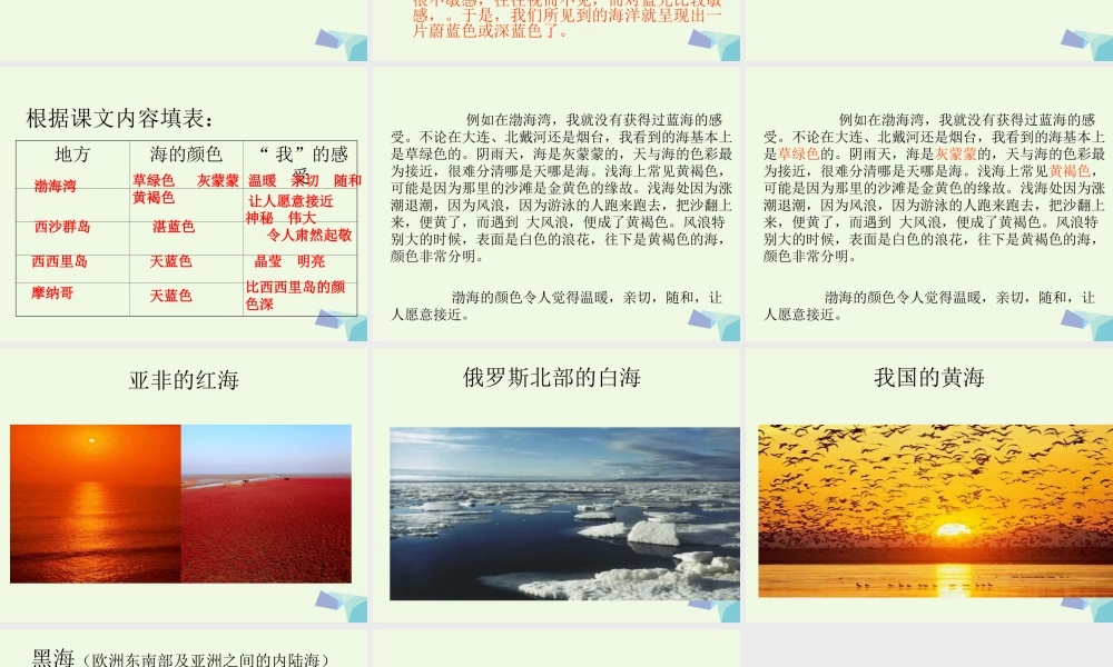 六年级语文上册 海的颜色课件2 鄂教版-鄂教版小学六年级上册语文课件