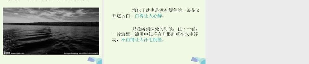 六年级语文上册 海的颜色课件2 鄂教版-鄂教版小学六年级上册语文课件