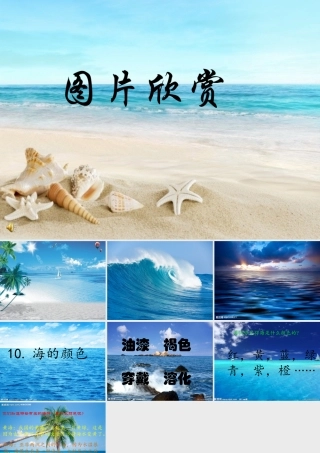 六年级语文上册 海的颜色课件4 鄂教版-鄂教版小学六年级上册语文课件