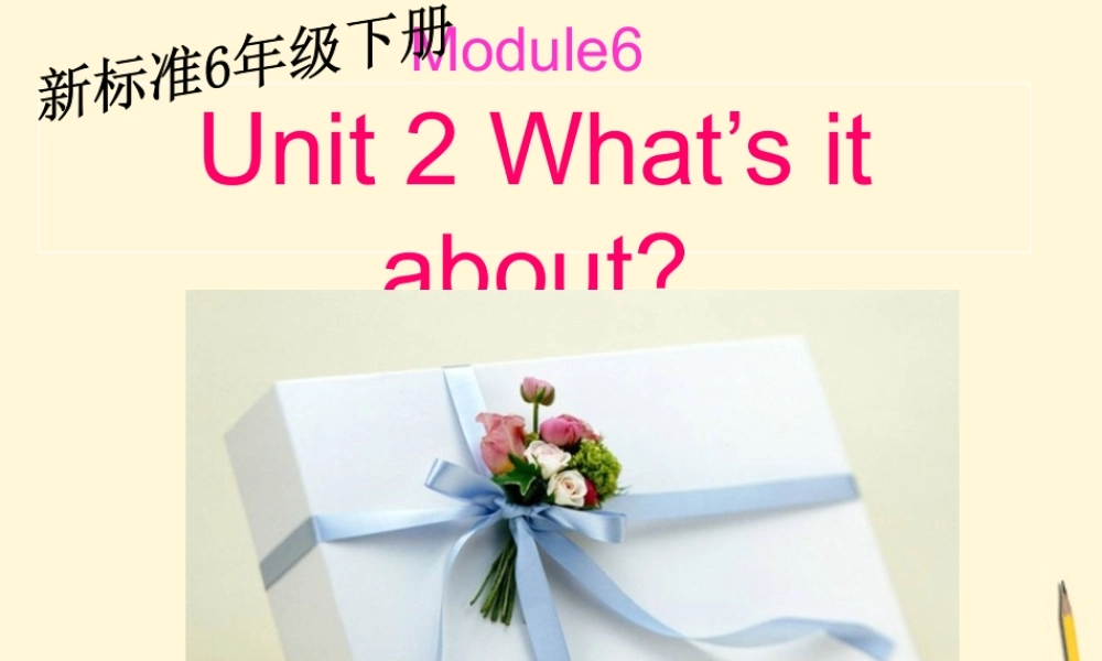 六年级英语下册 Module6 unit2（1）课件 外研版