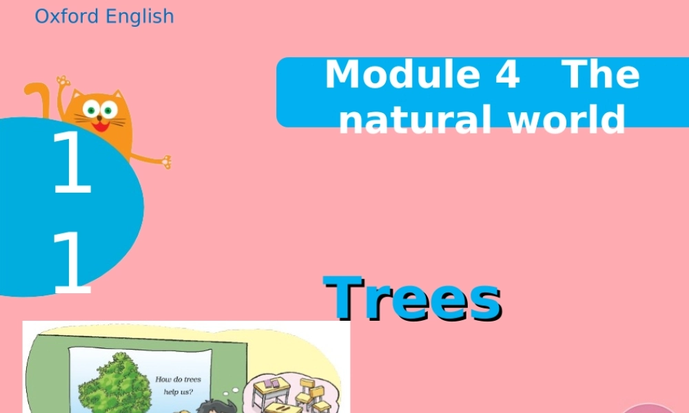 六年级英语上册 Unit 11 Trees课件 牛津上海版-牛津上海版小学六年级上册英语课件
