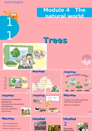 六年级英语上册 Unit 11 Trees课件 牛津上海版-牛津上海版小学六年级上册英语课件
