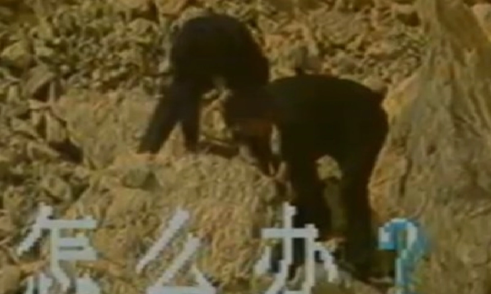 六年级语文上册 科学家阿基米德1课件 教科版-教科版小学六年级上册语文课件