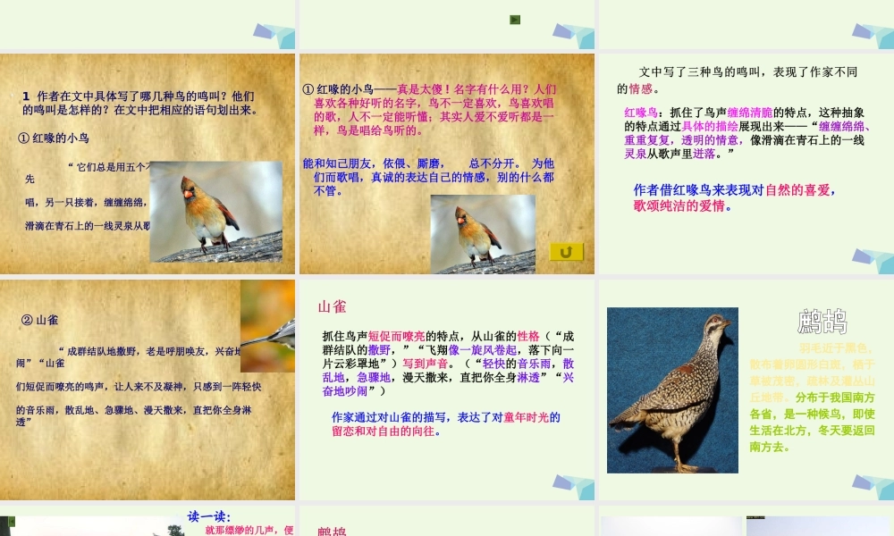 六年级语文上册 空山鸟语课件1 湘教版-湘教版小学六年级上册语文课件