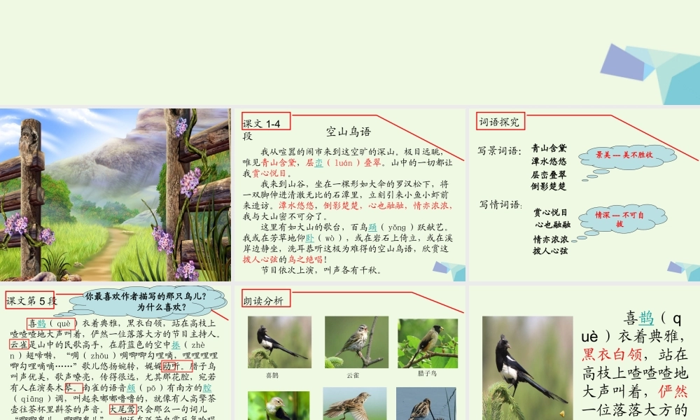 六年级语文上册 空山鸟语课件2 湘教版-湘教版小学六年级上册语文课件