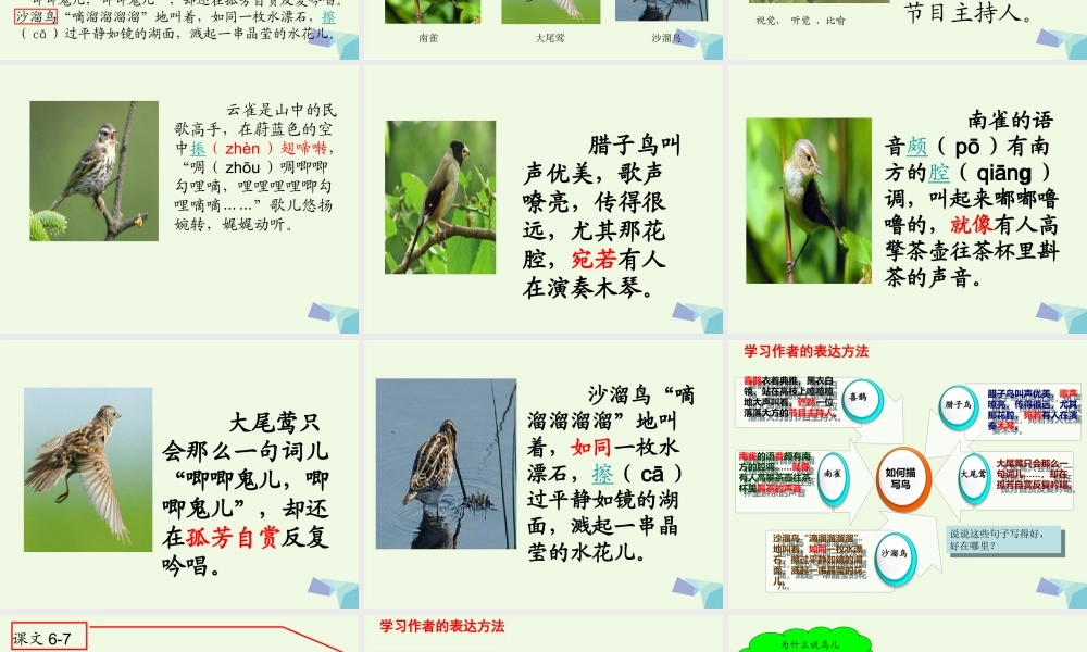 六年级语文上册 空山鸟语课件2 湘教版-湘教版小学六年级上册语文课件