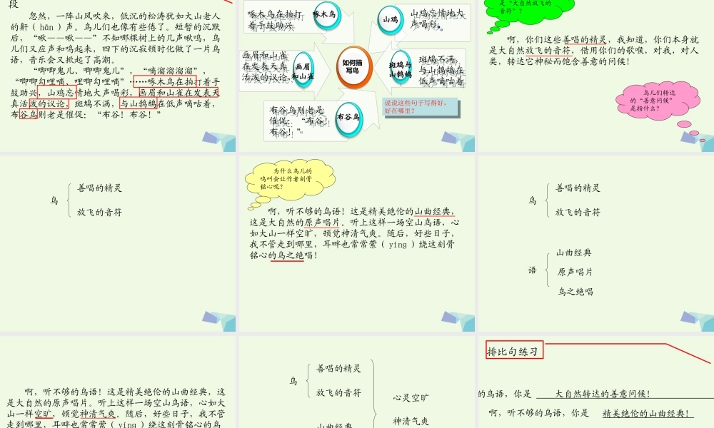 六年级语文上册 空山鸟语课件2 湘教版-湘教版小学六年级上册语文课件