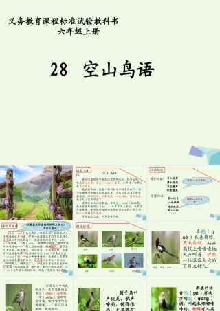 六年级语文上册 空山鸟语课件2 湘教版-湘教版小学六年级上册语文课件