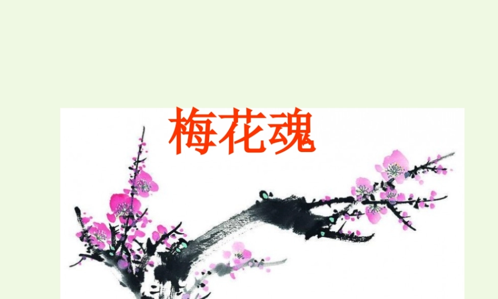六年级语文上册 梅花魂课件1 鄂教版-鄂教版小学六年级上册语文课件