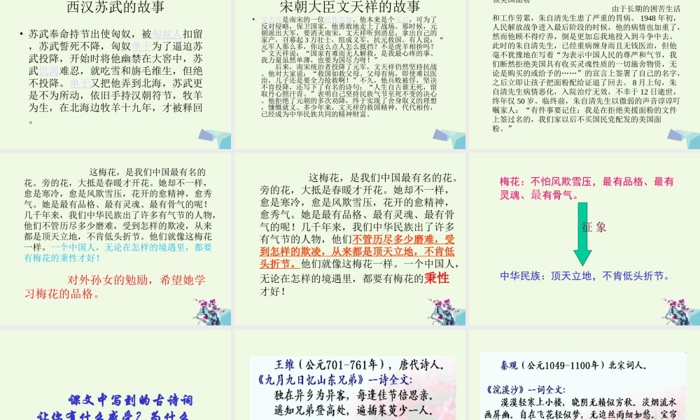 六年级语文上册 梅花魂课件1 鄂教版-鄂教版小学六年级上册语文课件