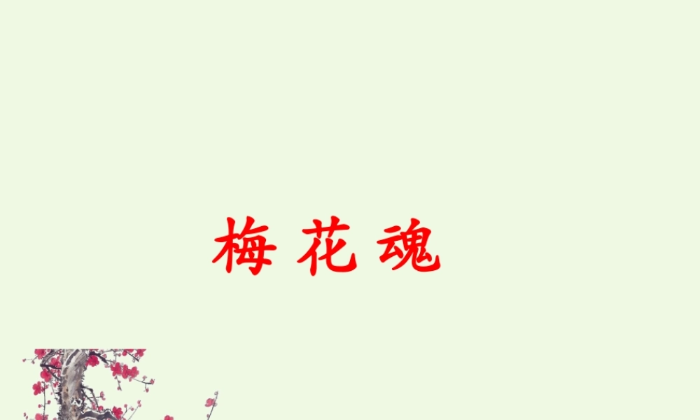 六年级语文上册 梅花魂课件2 鄂教版-鄂教版小学六年级上册语文课件