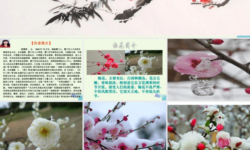 六年级语文上册 梅花魂课件3 鄂教版-鄂教版小学六年级上册语文课件