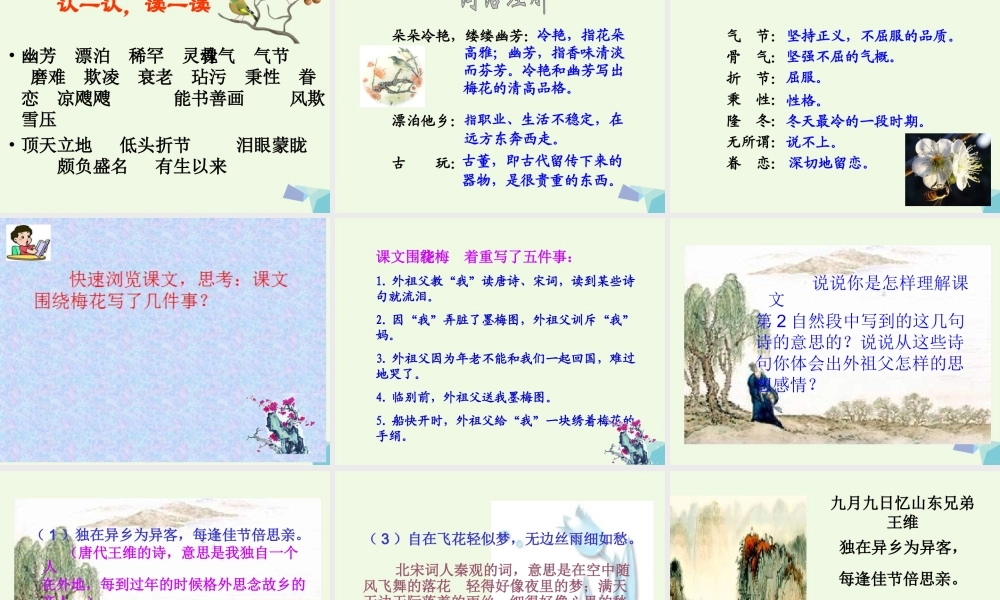 六年级语文上册 梅花魂课件3 鄂教版-鄂教版小学六年级上册语文课件