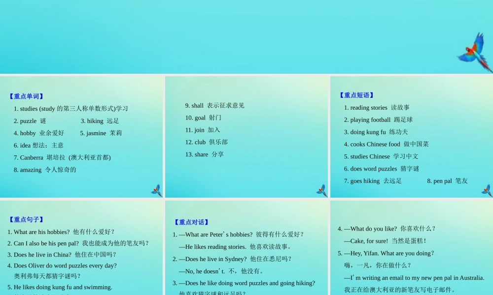 六年级英语上册 Unit 4 I have a pen pal知识梳理练习课件 人教PEP版-人教PEP小学六年级上册英语课件