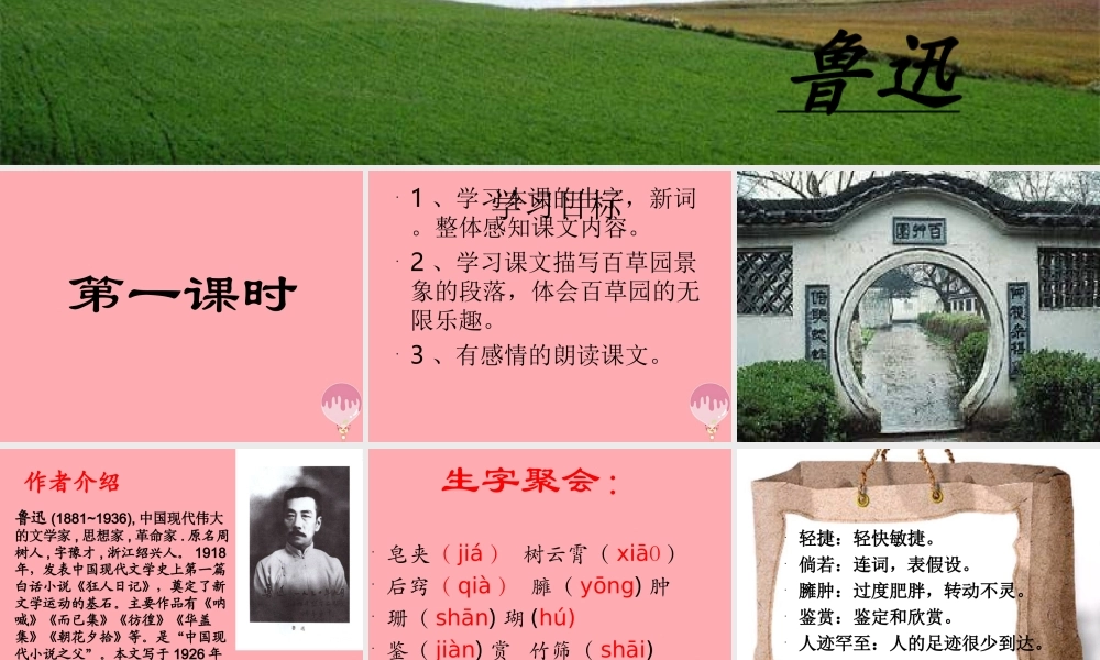 六年级语文上册 第2课 我的百草园课件3 西师大版-西师大版小学六年级上册语文课件