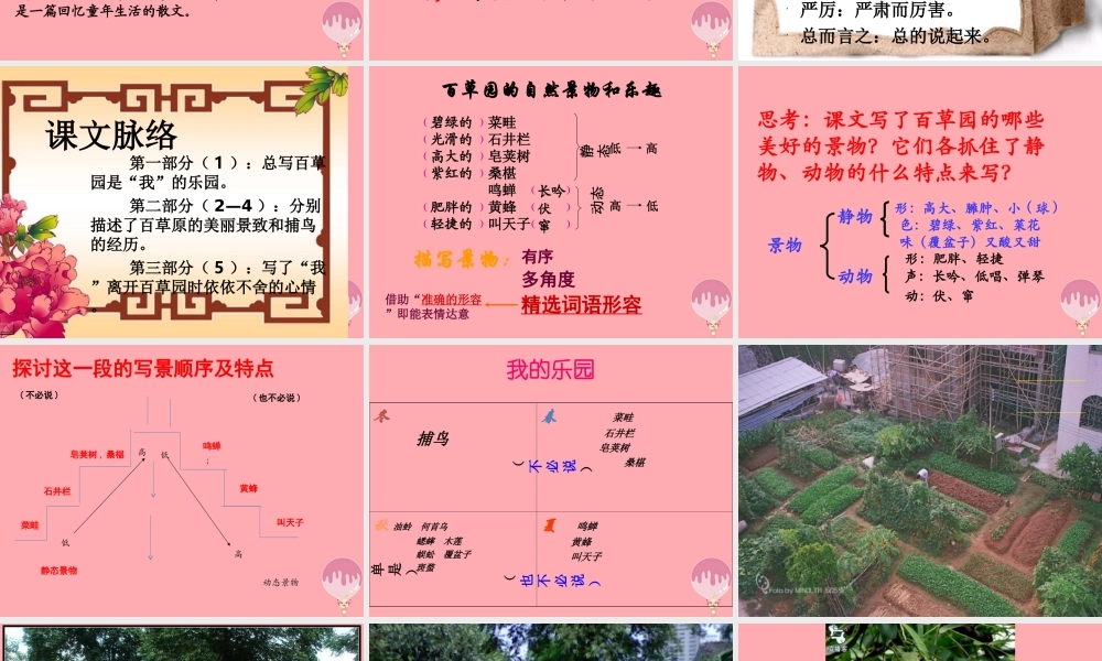 六年级语文上册 第2课 我的百草园课件3 西师大版-西师大版小学六年级上册语文课件