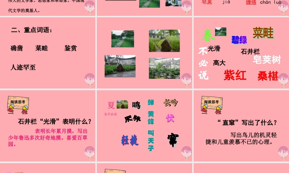 六年级语文上册 第2课 我的百草园课件4 西师大版-西师大版小学六年级上册语文课件