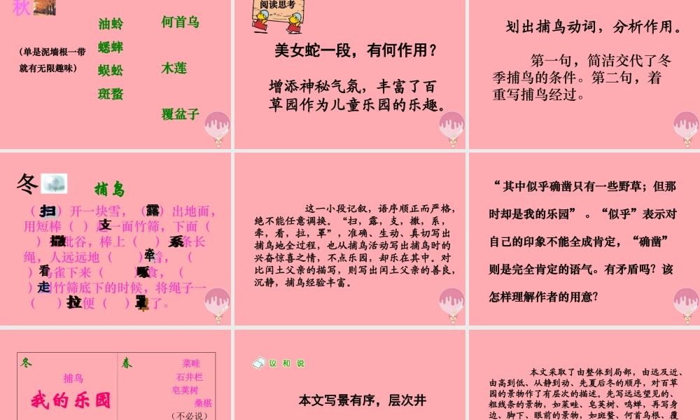 六年级语文上册 第2课 我的百草园课件4 西师大版-西师大版小学六年级上册语文课件