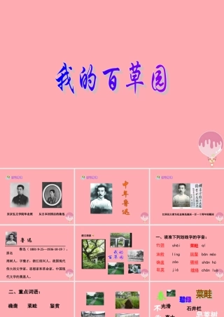 六年级语文上册 第2课 我的百草园课件4 西师大版-西师大版小学六年级上册语文课件