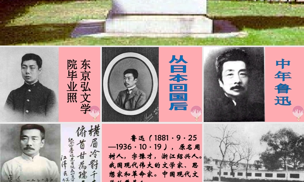 六年级语文上册 第2课 我的百草园课件5 西师大版-西师大版小学六年级上册语文课件