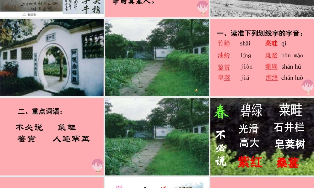 六年级语文上册 第2课 我的百草园课件5 西师大版-西师大版小学六年级上册语文课件