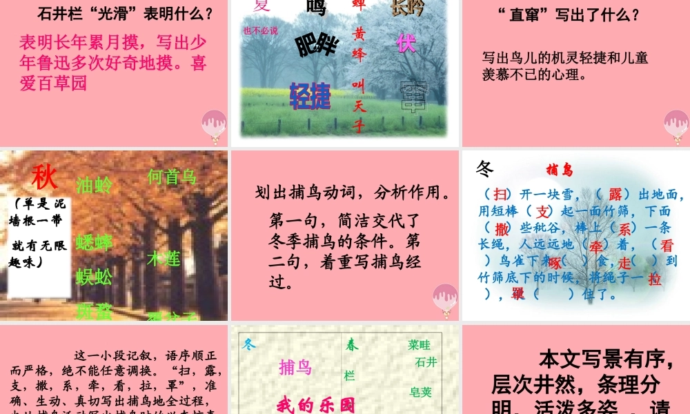 六年级语文上册 第2课 我的百草园课件5 西师大版-西师大版小学六年级上册语文课件