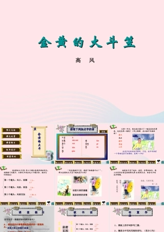 六年级语文上册 第2课《金黄的大斗笠》课件2 沪教版-沪教版小学六年级上册语文课件