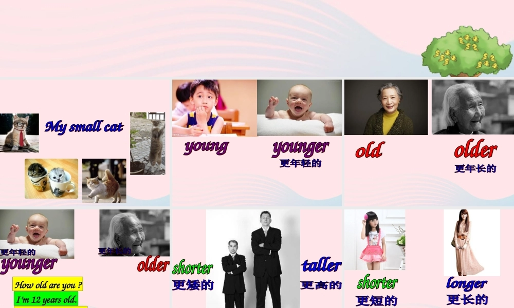 六年级英语下册 Unit 1 How tall are you Part A Let s learn教学课件 人教PEP版-人教PEP小学六年级下册英语课件