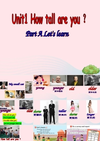 六年级英语下册 Unit 1 How tall are you Part A Let s learn教学课件 人教PEP版-人教PEP小学六年级下册英语课件