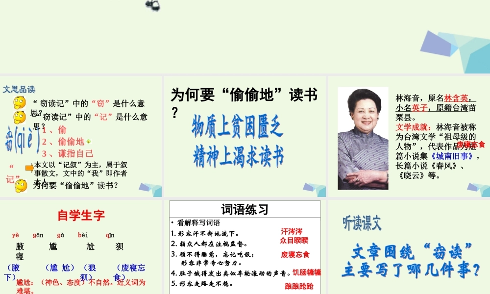 六年级语文上册 窃读记课件2 湘教版-湘教版小学六年级上册语文课件