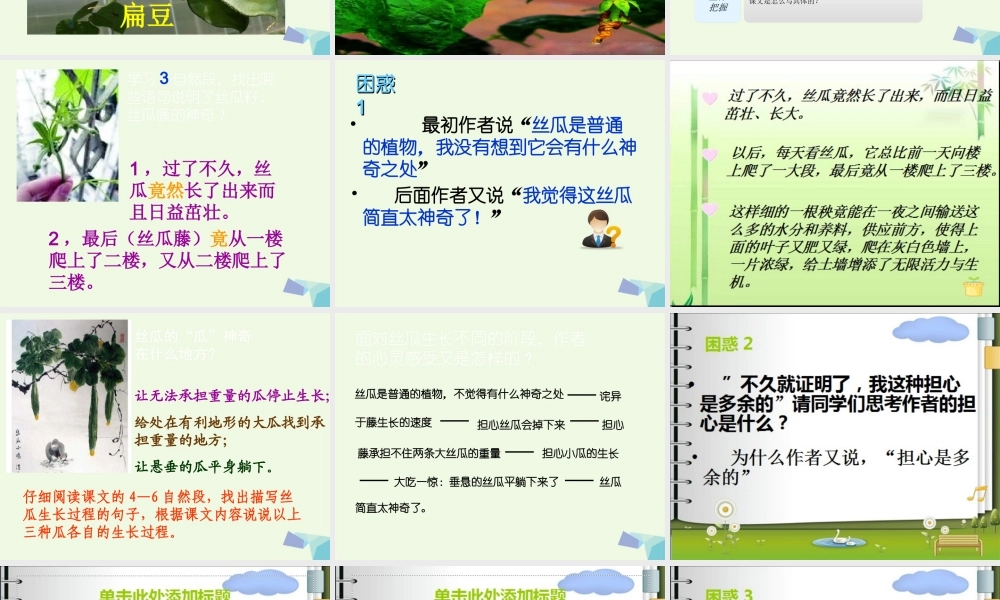 六年级语文上册 神奇的丝瓜课件1 湘教版-湘教版小学六年级上册语文课件