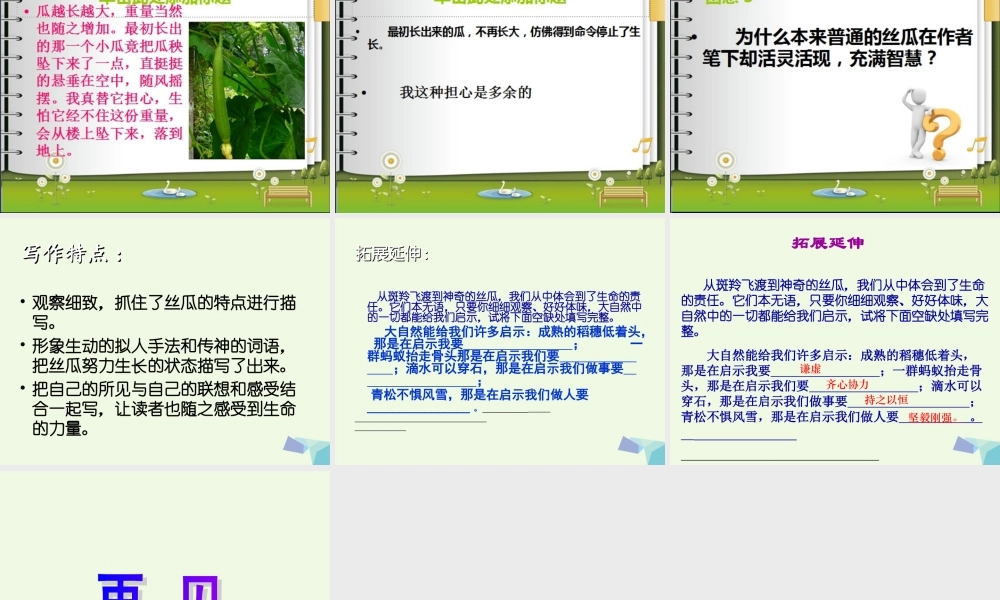 六年级语文上册 神奇的丝瓜课件1 湘教版-湘教版小学六年级上册语文课件