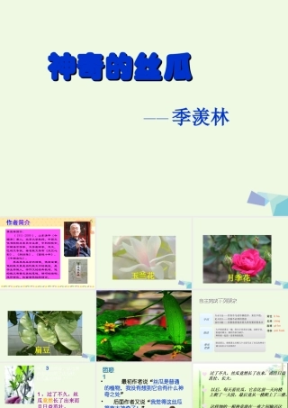 六年级语文上册 神奇的丝瓜课件1 湘教版-湘教版小学六年级上册语文课件